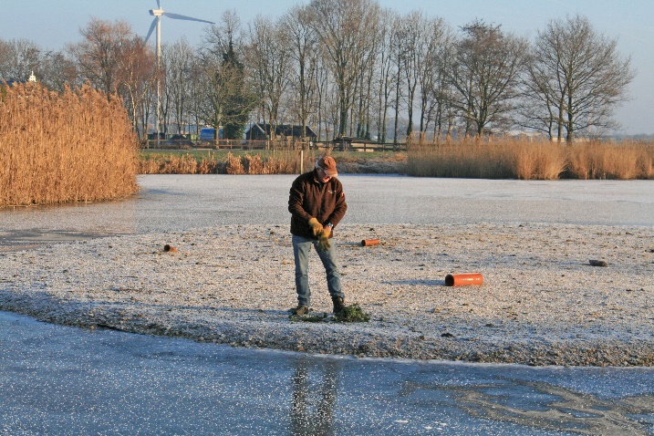 Poetsen op het eiland